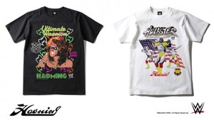 hm_wwe-480x271.jpg